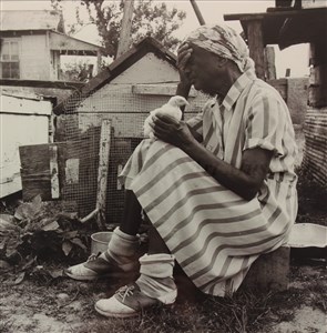 Image description is not available for 1996.006